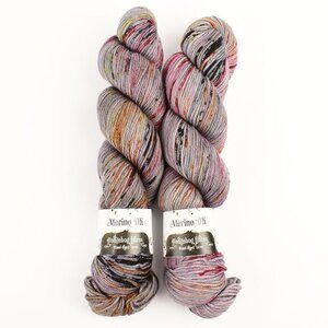 Hedgehog Fibres Merino DK Yarn 2 Skeins Springy Merino Wool Hand-Dyed Ruin